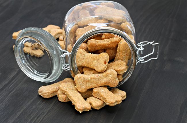 Did you know that it can be easy to DIY your own homemade dog treats? Cat treats, too! This list has recipes for several kinds including better breath treats, healthy treats, grain free treats, frozen treats, no bake treats, and more traditional treats made of pumpkin, peanut butter, and more.