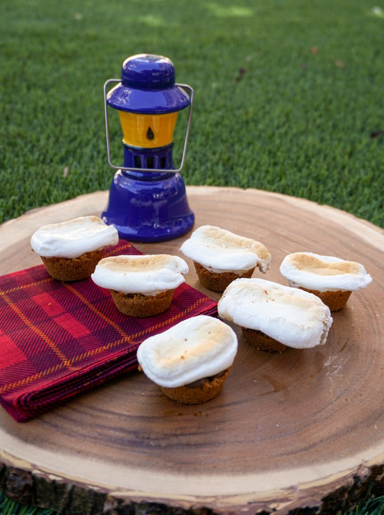 What’s better than s’mores over the campfire on a summer evening? Not much, but you can enjoy s’mores even if you’re stuck indoors! This easy S’mores Bites recipe is super quick and easy to make at home, using just the usual s’mores ingredients. They make a great party dessert idea or a great summer snack!