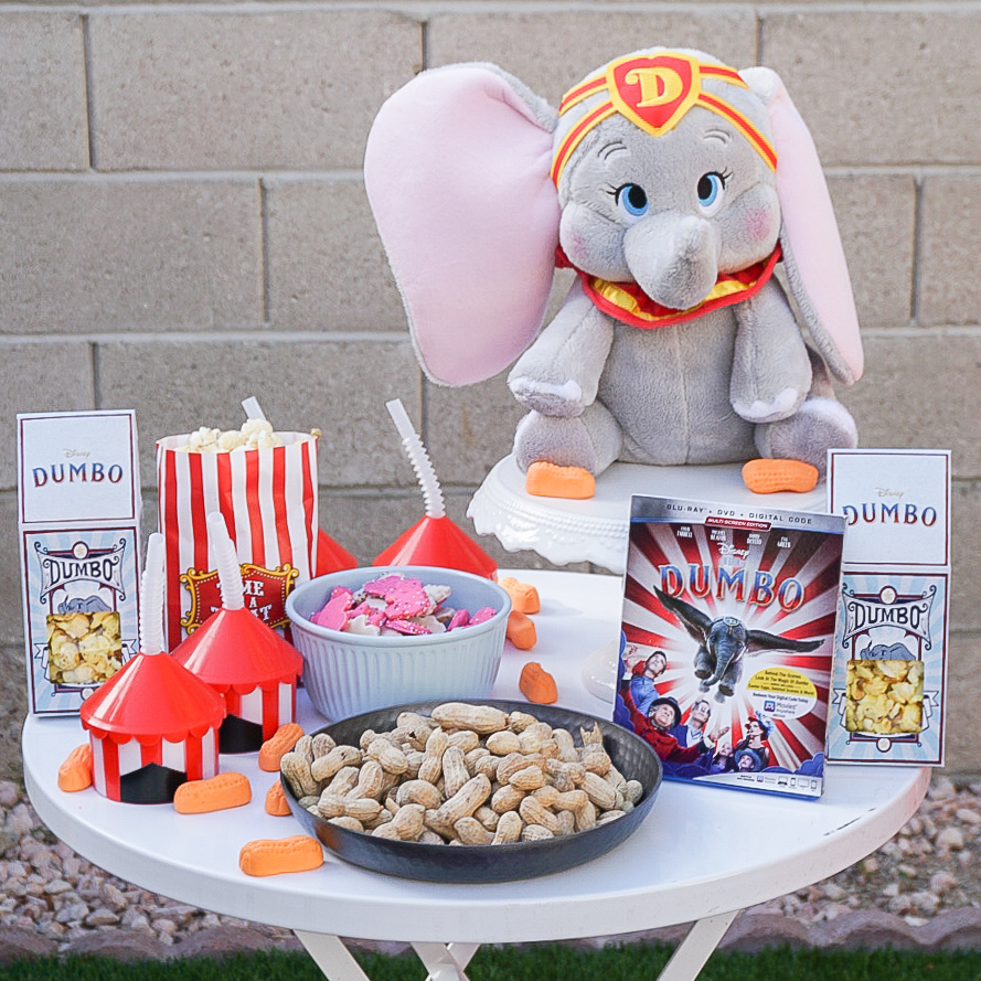 Hosting a Vintage Circus theme party or adorable DIY Disney Dumbo birthday party? Check out these ideas we used for our movie night, including games, food, decorations, activities, and more.