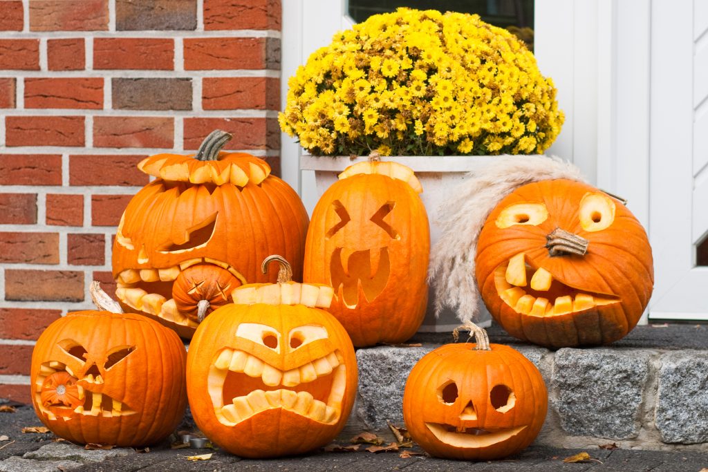 Everyone knows that Halloween is one of the best holidays to celebrate- so take advantage and throw a party! Come check out everything you’ll need to plan and get ideas, including spooky decorations, costume contests, delicious food, lots of tricks and of course, lots of treats!