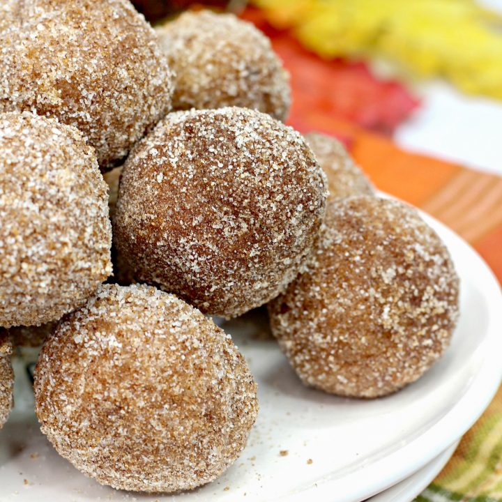 Baked Pumpkin Donut Holes