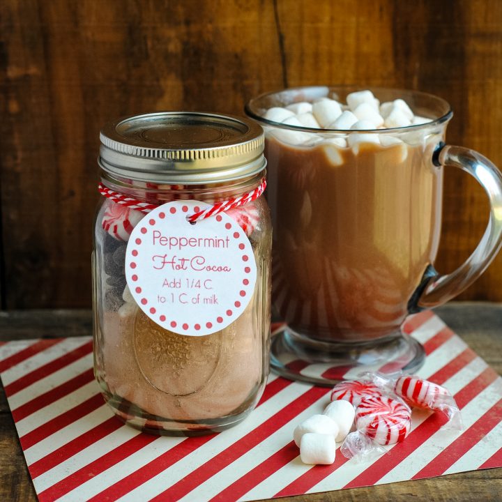 Hot Cocoa Jars with DIY Peppermint Spoons – Chalkfulloflove