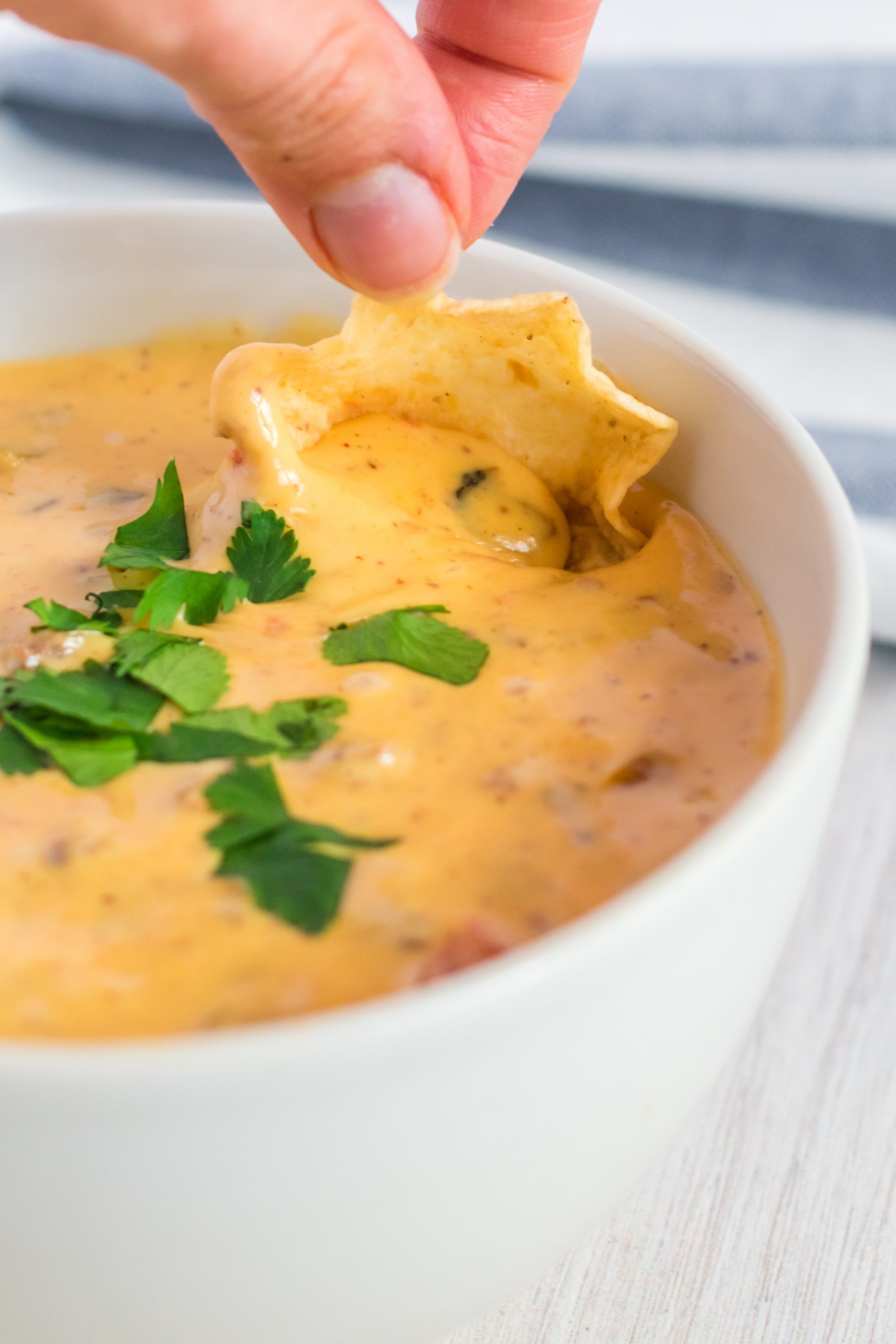 Slow Cooker Hamburger Cheese Dip Recipe {Not Quite} Susie Homemaker