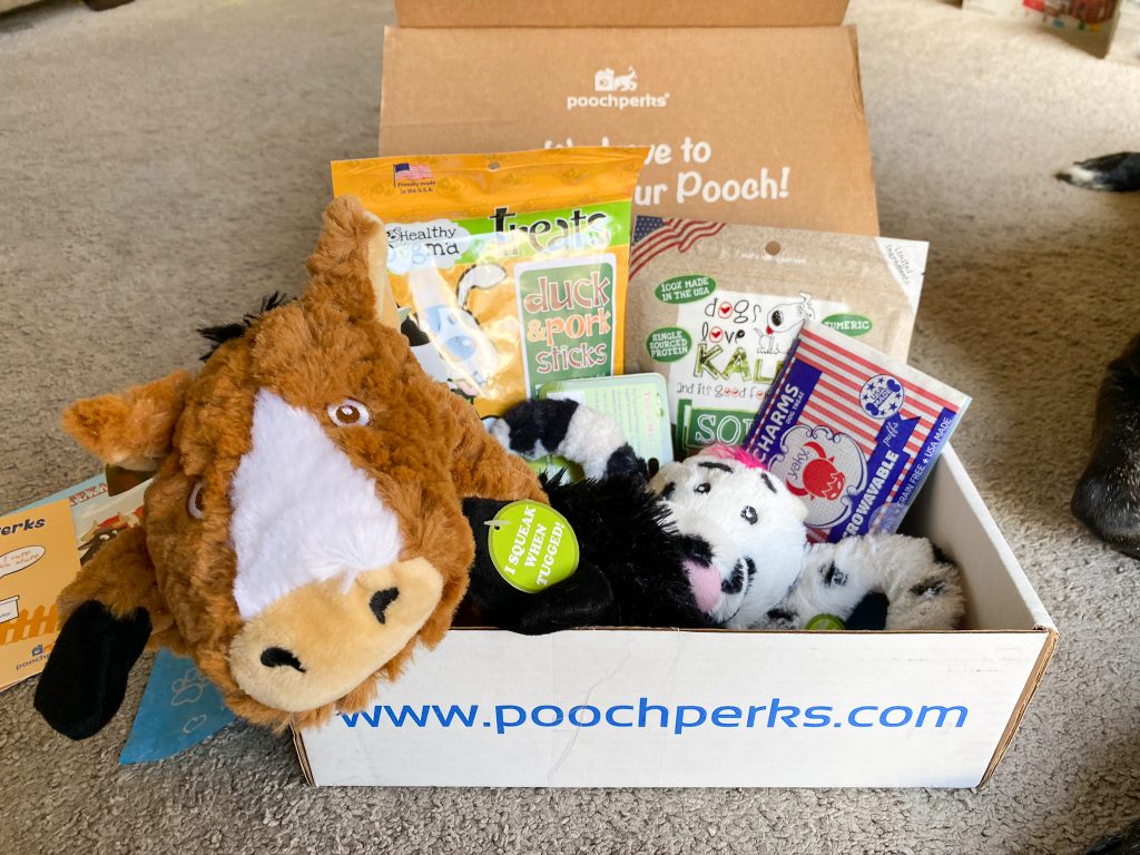 What is the Best Dog Subscription Box? Three Boxes Tested