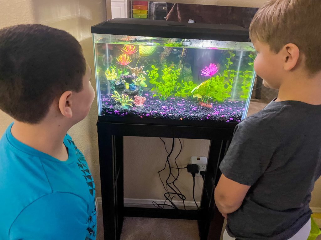 Childrens fish discount tank