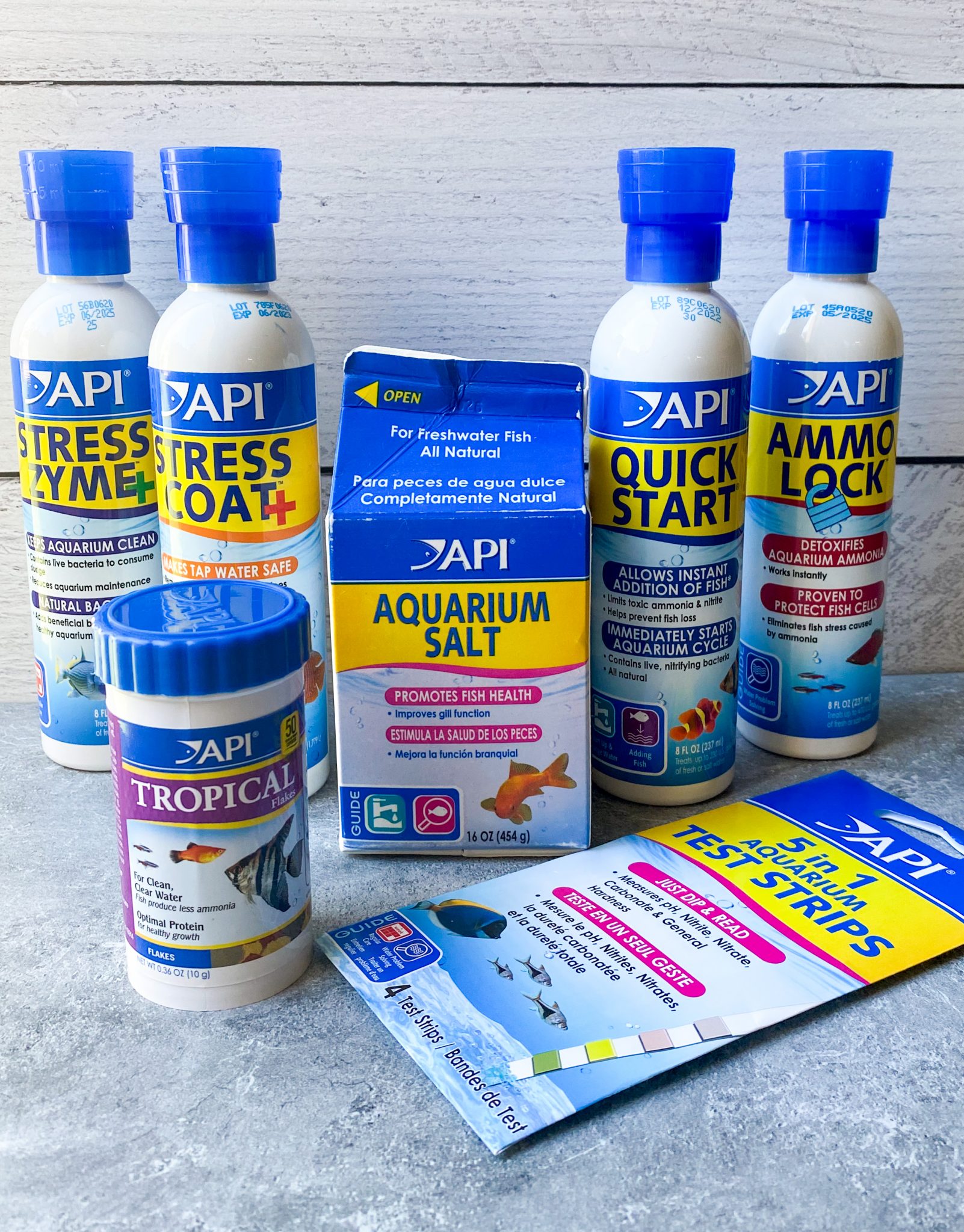 How to Start a Fish Tank for Your Family {Not Quite} Susie Homemaker